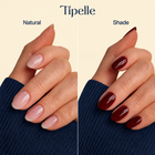 tipelle img 0207 bordeaux shade comparison