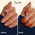 tipelle img 0191 poppy shade comparison