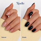 tipelle img 0327 night shade comparison