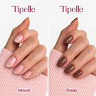 tipelle img 0199 hazelnut shade comparison